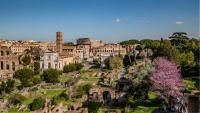 Le Forum