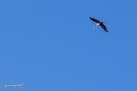 EG9A6339_1