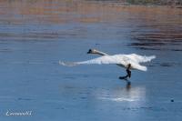 EG9A6402_1