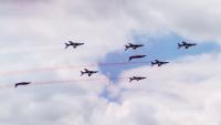 PAF (8)