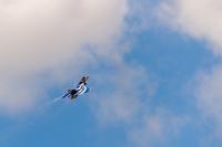 Rafale (18)