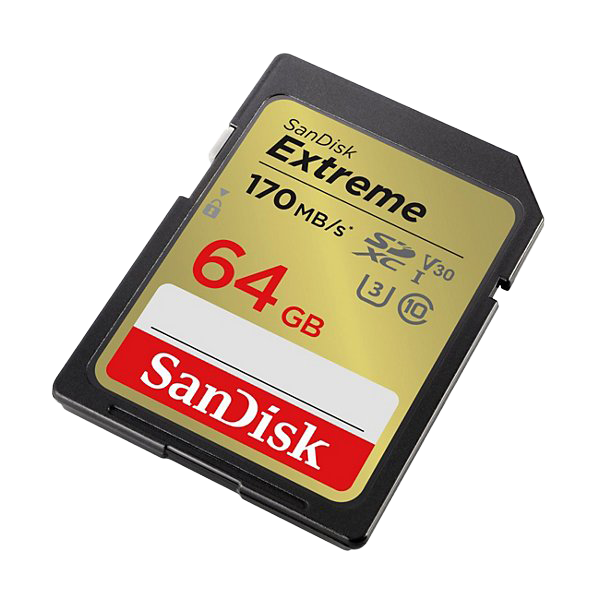 Cartes SD Sandisk