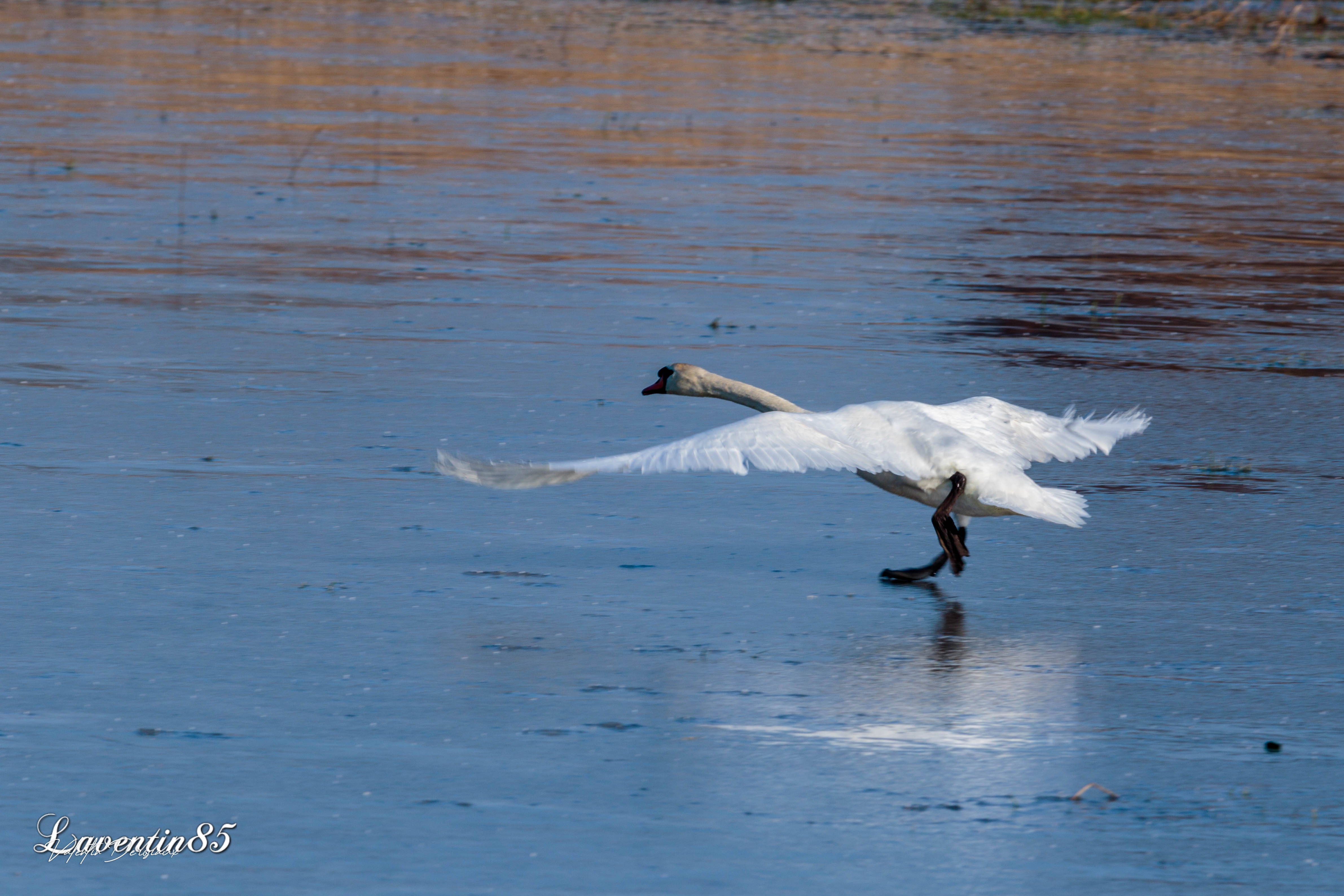 EG9A6402_1