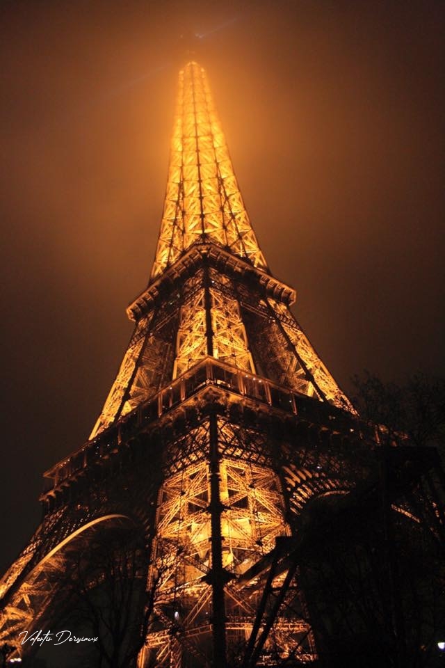 Eiffel Tower by night 
